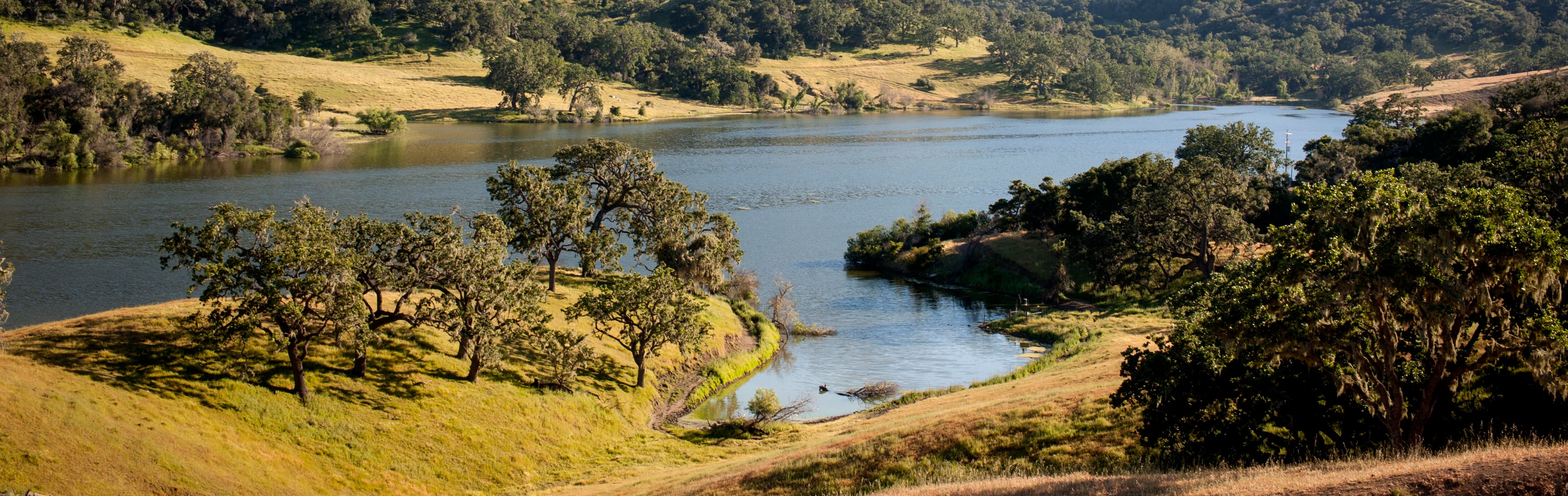 Alisal Ranch Accommodations